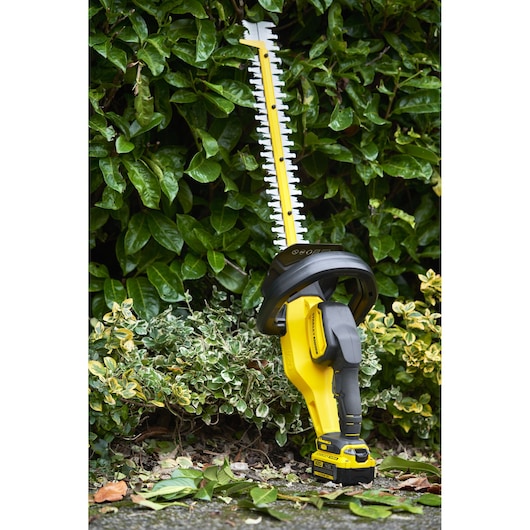 STANLEY SFMCHT855M1 cordless hedge trimmer in yellow and black, photographed upright in garden greenery.