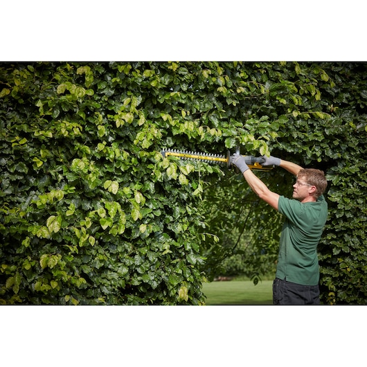 STANLEY SFMCHTB866B hedge trimmer in use trimming dense green hedge outdoors.